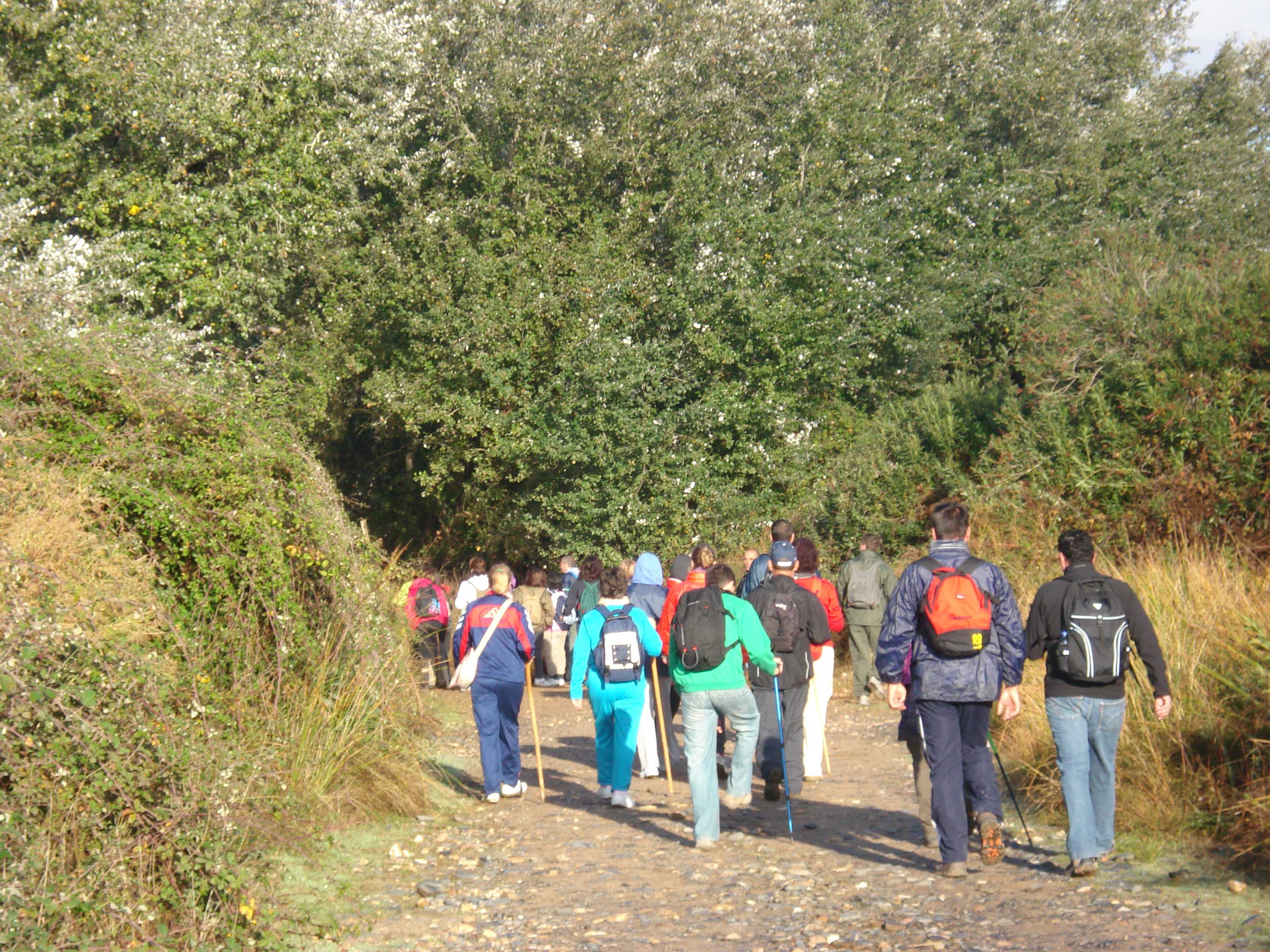 camino4